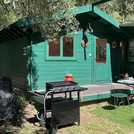 Chalet Avec Piscine Privee Dans La Foret Bagnols-en-Foret
