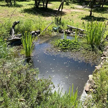 Avec Piscine Privee Dans La Foret *