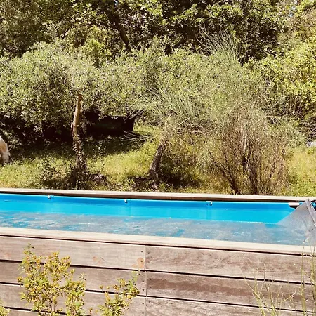 Avec Piscine Privee Dans La Foret Chalet *
