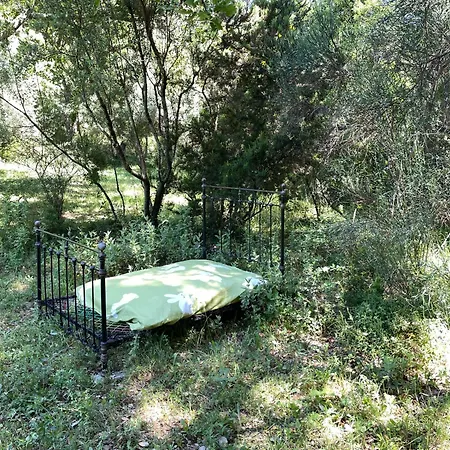 Avec Piscine Privee Dans La Foret * Bagnols-en-Foret